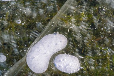 Doku deseni arka plan beyaz Kış, nehir buz hava kabarcıkları s