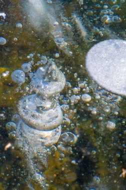 Doku deseni arka plan beyaz Kış, nehir buz hava kabarcıkları s