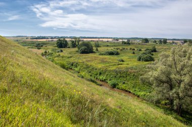 Yaz manzarası, vadi, çim filizi, karışık otlar. İğne ağaçları