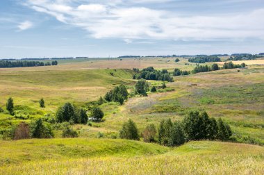 Yaz manzarası, vadi, çim filizi, karışık otlar. İğne ağaçları