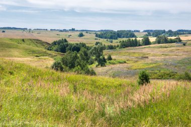 Yaz manzarası, vadi, çim filizi, karışık otlar. İğne ağaçları
