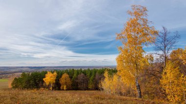 Doğa. Dağlık arazide sonbahar manzarası, huş ağaçları, ketenler, meşe ağaçları
