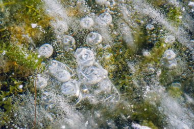 Doku deseni arka plan beyaz Kış, nehir buz hava kabarcıkları s