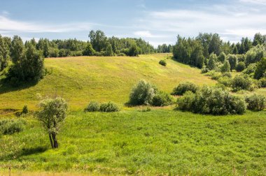 Yaz manzarası, vadi, çim filizi, karışık otlar. İğne ağaçları