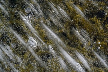 Doku deseni arka plan beyaz Kış, nehir buz hava kabarcıkları s