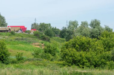 Yaz manzarası, vadi, çim filizi, karışık otlar. Küçük bir nehir.