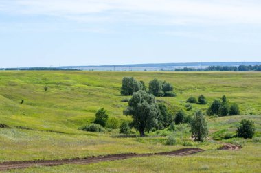 Yaz manzarası, vadi, çim filizi, karışık otlar. Küçük bir nehir.