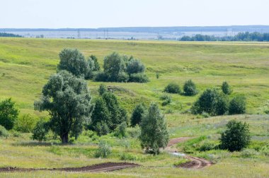 Yaz manzarası, vadi, çim filizi, karışık otlar. Küçük bir nehir.