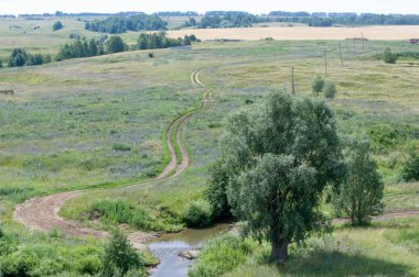Yaz manzarası, vadi, çim filizi, karışık otlar. Küçük bir nehir.
