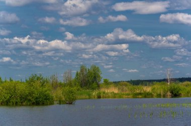 Nehir manzaralı yaz manzarası fotoğrafı. Büyük doğal bir st.