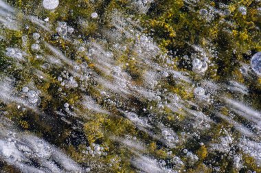 Doku deseni arka plan beyaz Kış, nehir buz hava kabarcıkları s