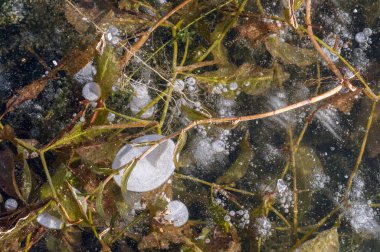 Doku deseni arka plan beyaz Kış, nehir buz hava kabarcıkları s