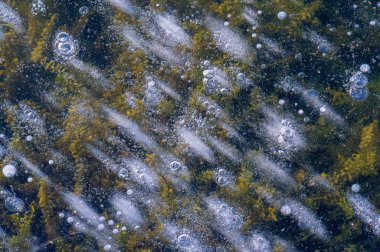 Doku deseni arka plan beyaz Kış, nehir buz hava kabarcıkları s