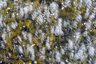 Doku deseni arka plan beyaz Kış, nehir buz hava kabarcıkları s