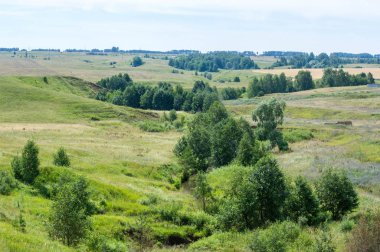 Yaz manzarası, vadi, çim filizi, karışık otlar. Küçük bir nehir.