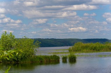 Nehir manzaralı yaz manzarası fotoğrafı. Büyük doğal bir st.