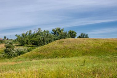 Yaz manzarası, vadi, çim filizi, karışık otlar. İğne ağaçları