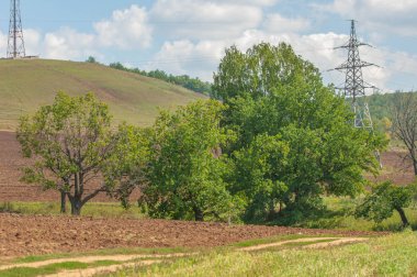 Yaz manzarası, enerji sütunlarının yapısı. Yüksek detay
