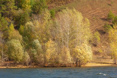 Sonbahar manzarası, nehir, rüzgarlı hava, koyu mavi su, sarı-