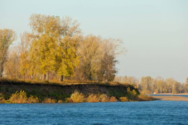 Sonbahar manzarası, nehir, rüzgarlı hava, koyu mavi su, sarı-