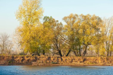 Sonbahar manzarası, nehir, rüzgarlı hava, koyu mavi su, sarı-