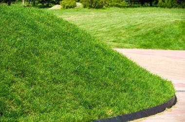 Kentsel fotoğrafçılık, Bir çim toprak kaplı arazi plante bir alandır