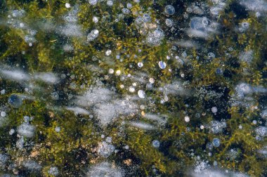 Doku deseni arka plan beyaz Kış, nehir buz hava kabarcıkları s