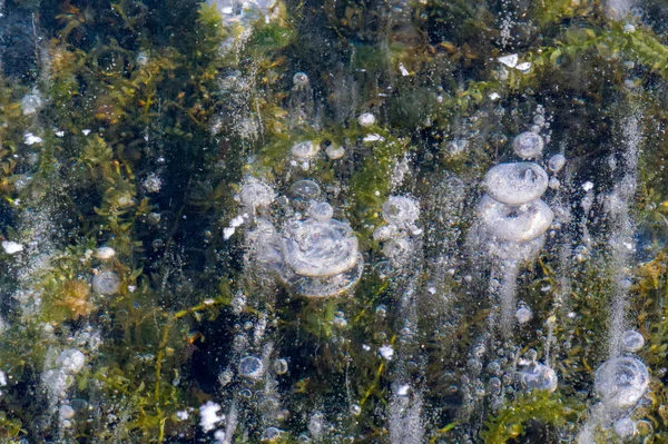 Textura patrón fondo blanco Invierno, río hielo burbujas de aire s —  Fotos de Stock