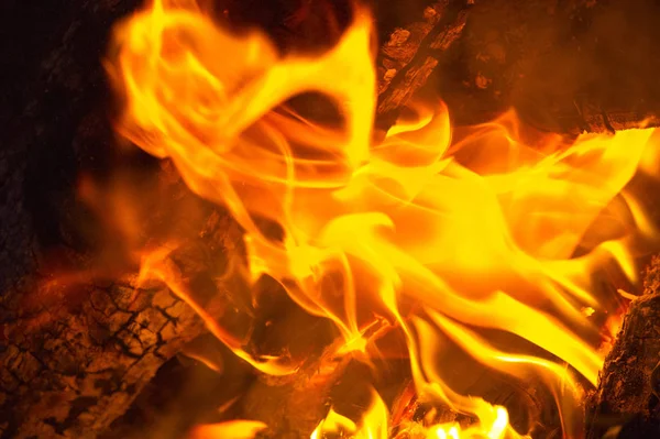 Api dalam bentuk yang paling umum dapat menyebabkan api yang dapat menyebabkan p — Stok Foto