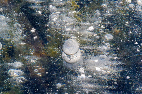 Текстура візерунок фон білий Зима, річкові крижані бульбашки повітря s — стокове фото