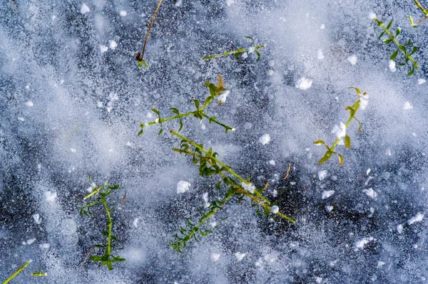 Textur Muster Hintergrund weiß Winter, Fluss Eis Luftblasen s — Stockfoto