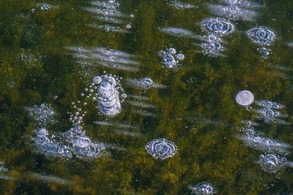 Textur Muster Hintergrund weiß Winter, Fluss Eis Luftblasen s — Stockfoto