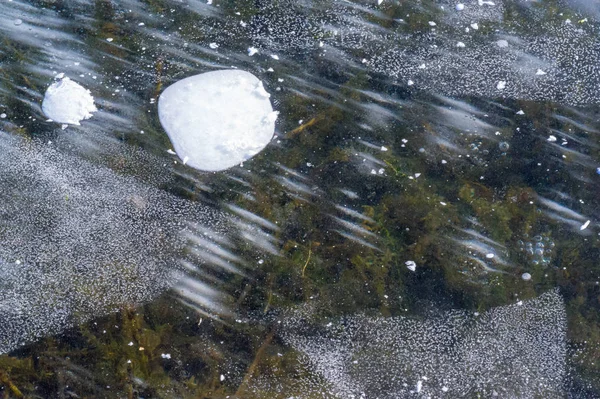 Текстура фона белый Зима, пузырьки воздуха реки — стоковое фото