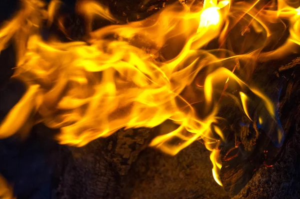 El fuego en su forma más común puede conducir a un fuego que puede causar p — Foto de Stock