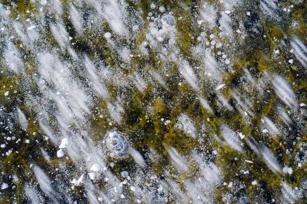 Texture motif fond blanc Hiver, bulles d'air de glace de rivière s — Photo