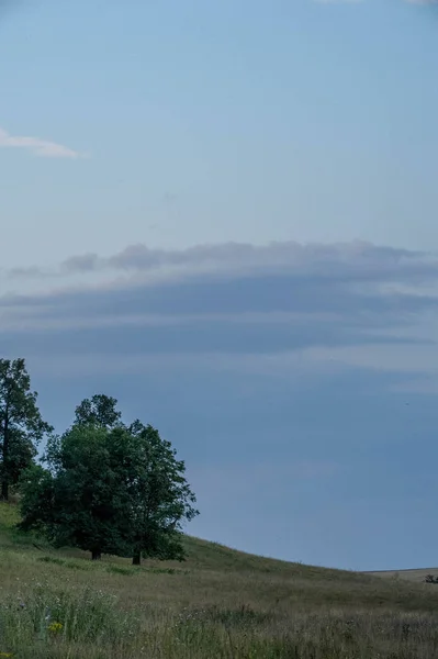 Yaz manzarası, arka planda dağ manzarası. — Stok fotoğraf