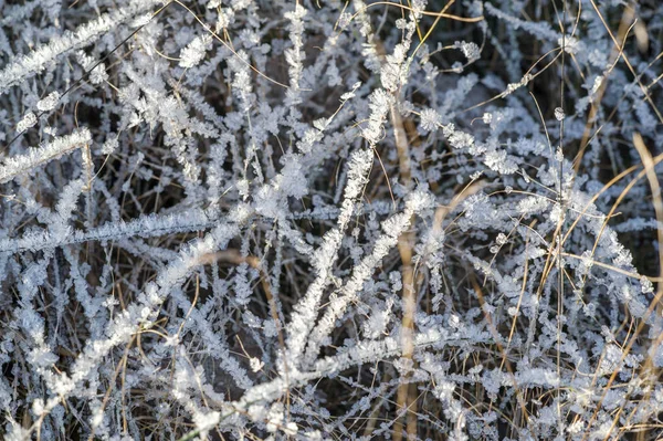 Textúra háttér, mintázat. Frost a gallyakból a fű. a DEP — Stock Fotó