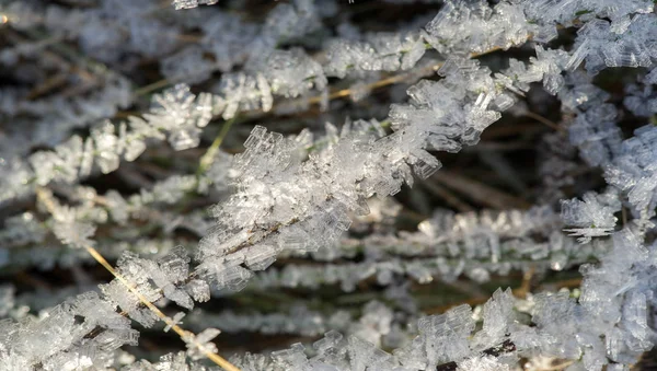 Textúra háttér, mintázat. Frost a gallyakból a fű. a DEP — Stock Fotó