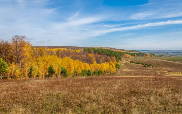 Naturen. Höstlandskap i kuperad terräng, björk, lind, ek — Stockfoto