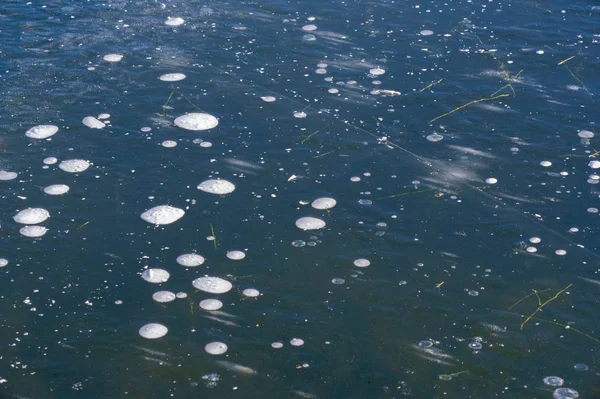 Textura patrón fondo blanco Invierno, río hielo burbujas de aire s —  Fotos de Stock