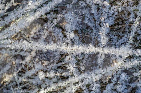 Textur Hintergrund, Muster. Frost auf den Graszweigen. ein dep — Stockfoto