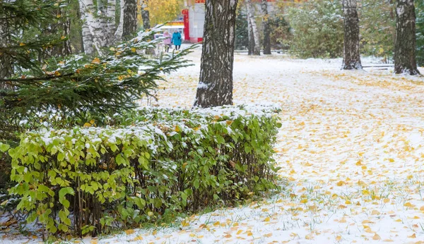 Vi fick vår första snö av säsongen under natten, damma i — Stockfoto