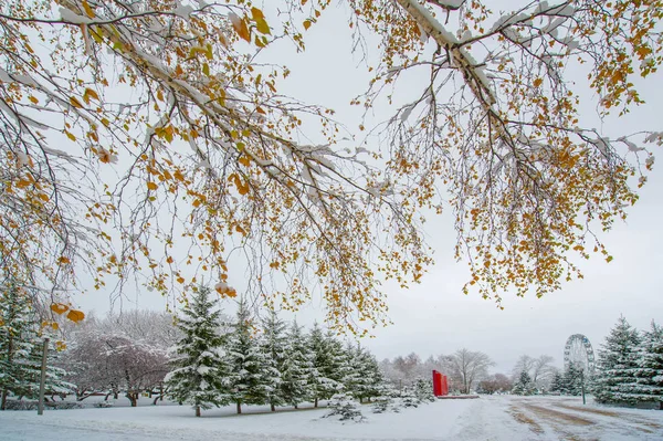 Vinterbilden togs med en vidvinkelobjektiv, den första sno — Stockfoto