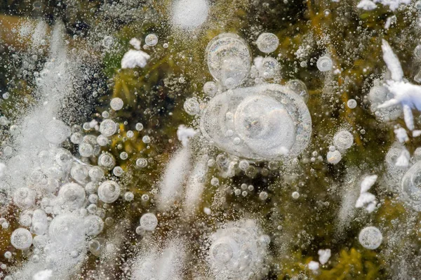 Vzorek textury pozadí bílá zima, bubliny na ledové říčním vzduchu — Stock fotografie