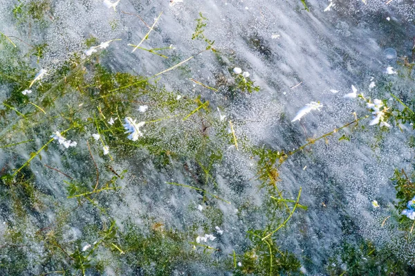 Textura patrón fondo blanco Invierno, río hielo burbujas de aire s — Foto de Stock