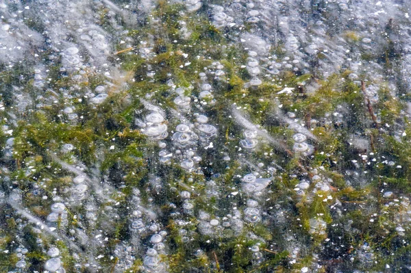 Textura patrón fondo blanco Invierno, río hielo burbujas de aire s — Foto de Stock