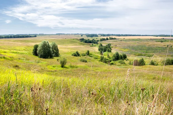 Paisaje de verano, barranco, junco de hierba, hierba variada. un pequeño riv — Foto de Stock