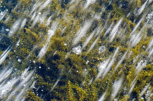 Μοτίβο υφής φόντο λευκό χειμώνας, φυσαλίδες αέρα πάγου ποταμών s — Φωτογραφία Αρχείου