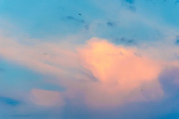 Nubi In meteorologia, una nube è un aerosol costituito da un vis — Foto Stock