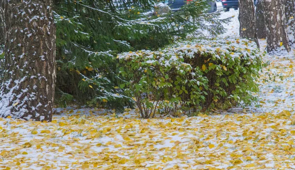 Tuvimos nuestra primera nieve de la temporada durante la noche, desempolvando —  Fotos de Stock